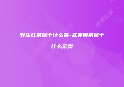 野生红茶属于什么茶-武夷岩茶属于什么茶类