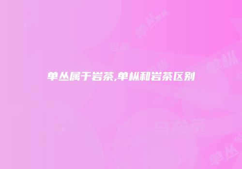 单丛属于岩茶,单枞和岩茶区别