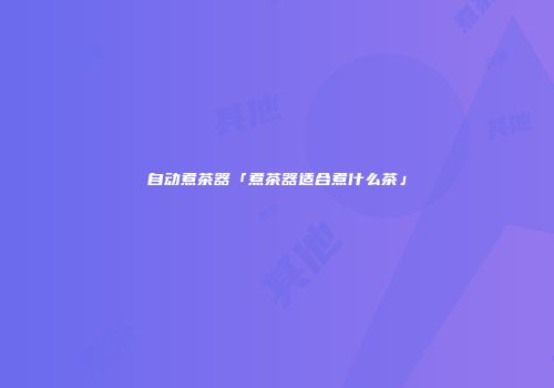 自动煮茶器「煮茶器适合煮什么茶」