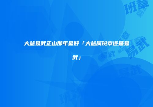 大益易武正山那年最好「大益属班章还是易武」