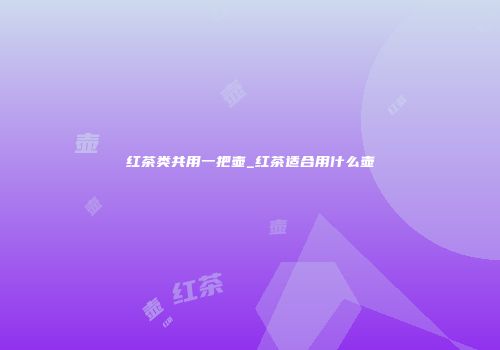 红茶类共用一把壶_红茶适合用什么壶