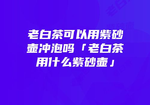 老白茶可以用紫砂壶冲泡吗「老白茶用什么紫砂壶」