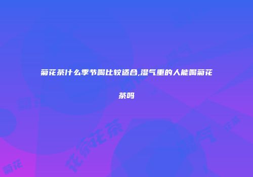 菊花茶什么季节喝比较适合,湿气重的人能喝菊花茶吗