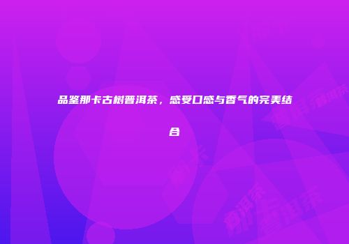 品鉴那卡古树普洱茶，感受口感与香气的完美结合