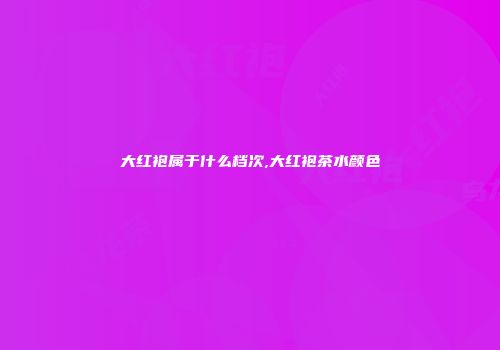 大红袍属于什么档次,大红袍茶水颜色