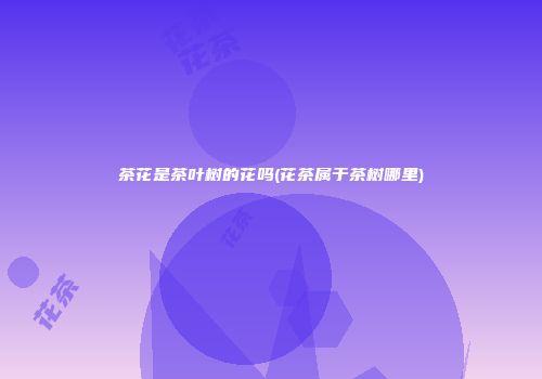 茶花是茶叶树的花吗(花茶属于茶树哪里)