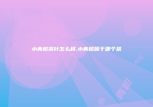 小青柑茶叶怎么样,小青柑属于哪个茶