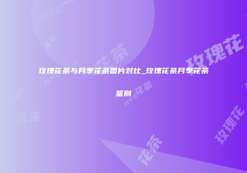 玫瑰花茶与月季花茶图片对比_玫瑰花茶月季花茶鉴别