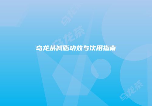乌龙茶减脂功效与饮用指南