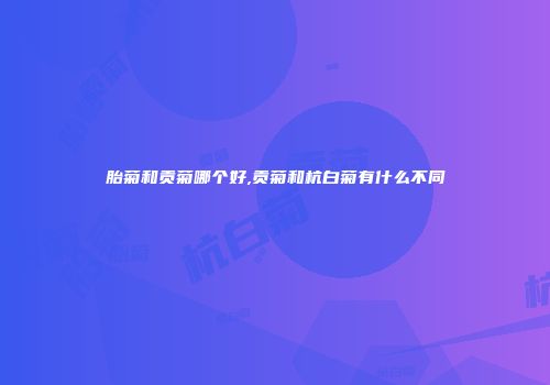 胎菊和贡菊哪个好,贡菊和杭白菊有什么不同