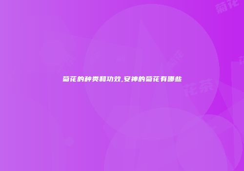 菊花的种类和功效,安神的菊花有哪些