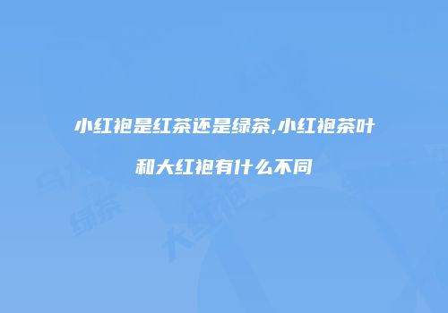 小红袍是红茶还是绿茶,小红袍茶叶和大红袍有什么不同
