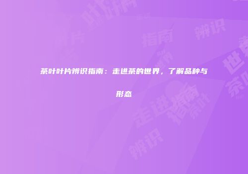 茶叶叶片辨识指南：走进茶的世界，了解品种与形态