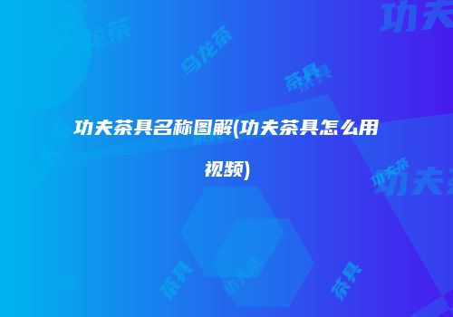 功夫茶具名称图解(功夫茶具怎么用视频)