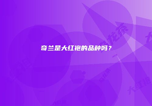 奇兰是大红袍的品种吗？
