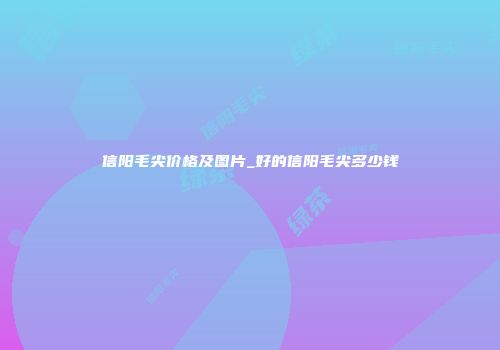 信阳毛尖价格及图片_好的信阳毛尖多少钱