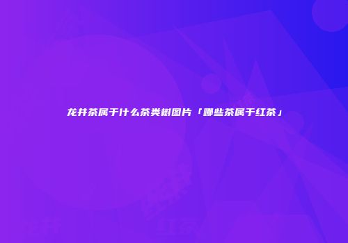 龙井茶属于什么茶类树图片「哪些茶属于红茶」