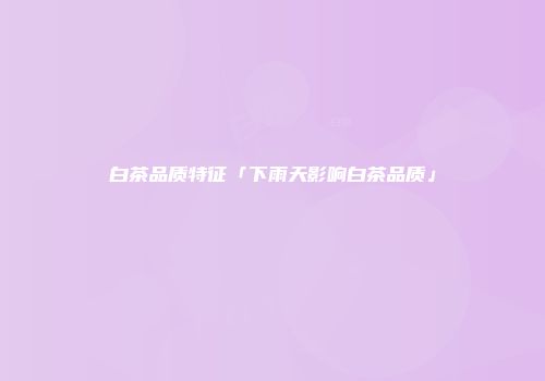 白茶品质特征「下雨天影响白茶品质」