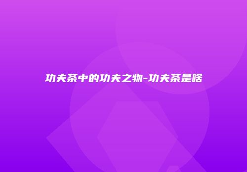 功夫茶中的功夫之物-功夫茶是啥