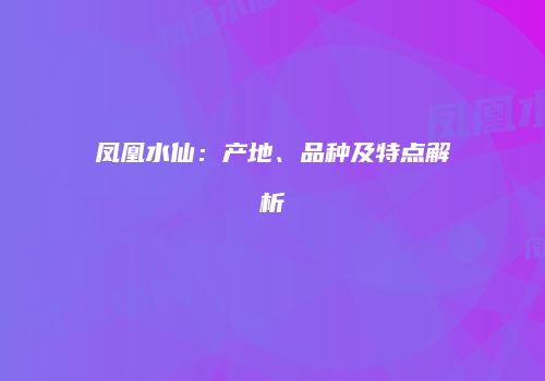 凤凰水仙：产地、品种及特点解析