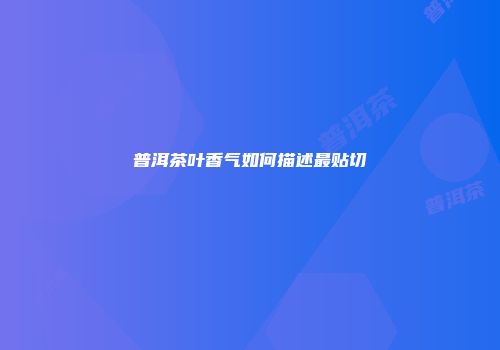 普洱茶叶香气如何描述最贴切