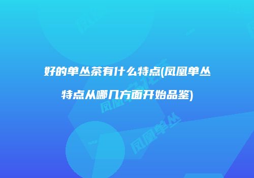 好的单丛茶有什么特点(凤凰单丛特点从哪几方面开始品鉴)