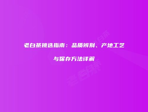 老白茶挑选指南：品质辨别、产地工艺与保存方法详解