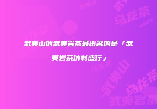 武夷山的武夷岩茶最出名的是「武夷岩茶仿制盛行」