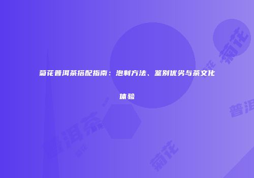 菊花普洱茶搭配指南：泡制方法、鉴别优劣与茶文化体验