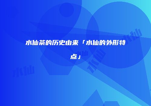 水仙茶的历史由来「水仙的外形特点」