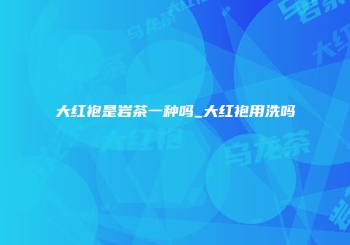 大红袍是岩茶一种吗_大红袍用洗吗