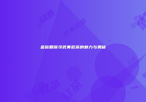 金骏眉探寻武夷岩茶的魅力与奥秘