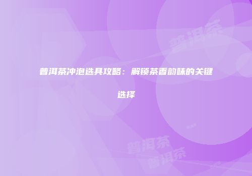 普洱茶冲泡选具攻略：解锁茶香韵味的关键选择
