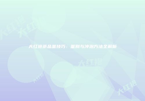 大红袍茶品鉴技巧：鉴别与冲泡方法全解析