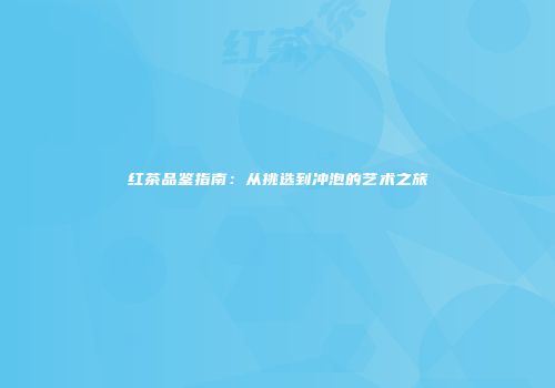红茶品鉴指南：从挑选到冲泡的艺术之旅