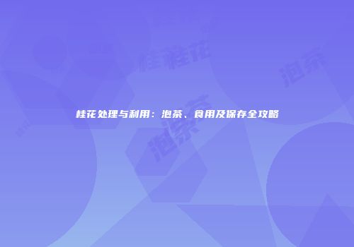 桂花处理与利用：泡茶、食用及保存全攻略