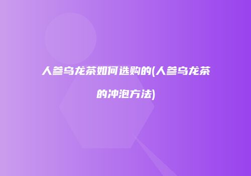 人参乌龙茶如何选购的(人参乌龙茶的冲泡方法)