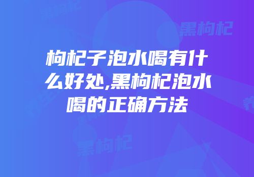 枸杞子泡水喝有什么好处,黑枸杞泡水喝的正确方法