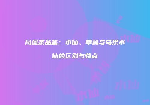 凤凰茶品鉴：水仙、单枞与乌岽水仙的区别与特点