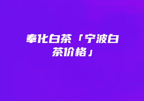 奉化白茶「宁波白茶价格」