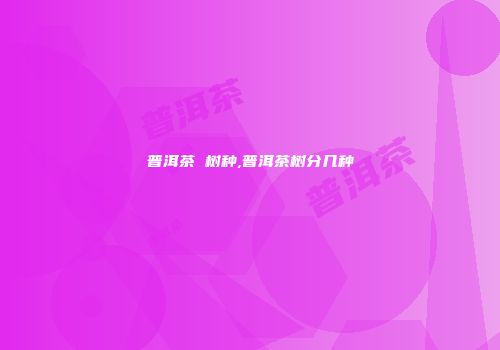 普洱茶 树种,普洱茶树分几种
