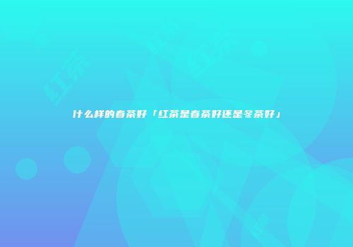 什么样的春茶好「红茶是春茶好还是冬茶好」