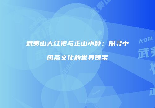 武夷山大红袍与正山小种：探寻中国茶文化的世界瑰宝