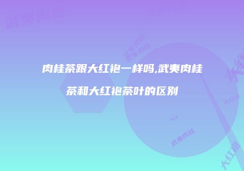 肉桂茶跟大红袍一样吗,武夷肉桂茶和大红袍茶叶的区别