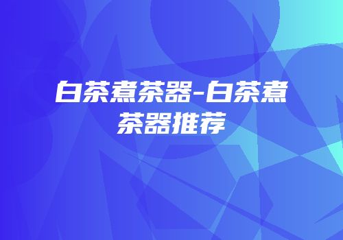 白茶煮茶器-白茶煮茶器推荐
