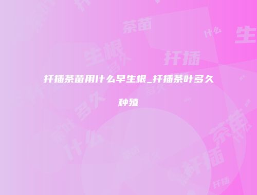 扦插茶苗用什么早生根_扦插茶叶多久种殖