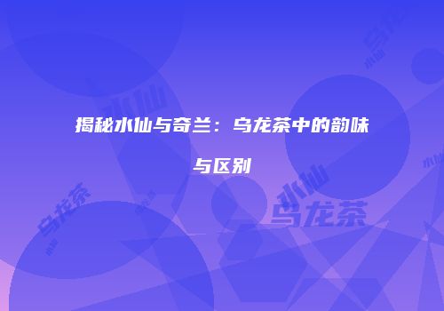 揭秘水仙与奇兰：乌龙茶中的韵味与区别