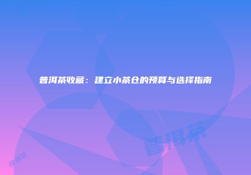 普洱茶收藏：建立小茶仓的预算与选择指南