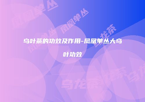 乌叶茶的功效及作用-凤凰单丛大乌叶功效