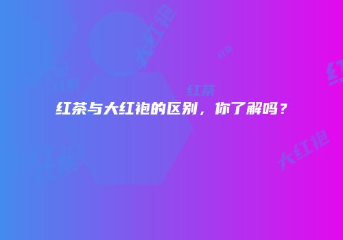 红茶与大红袍的区别，你了解吗？